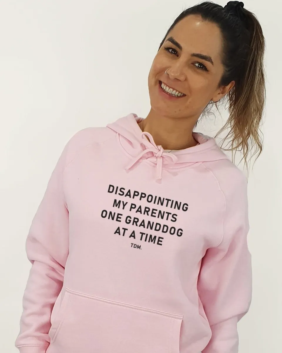 Disappointing My Parents Unisex Hoodie