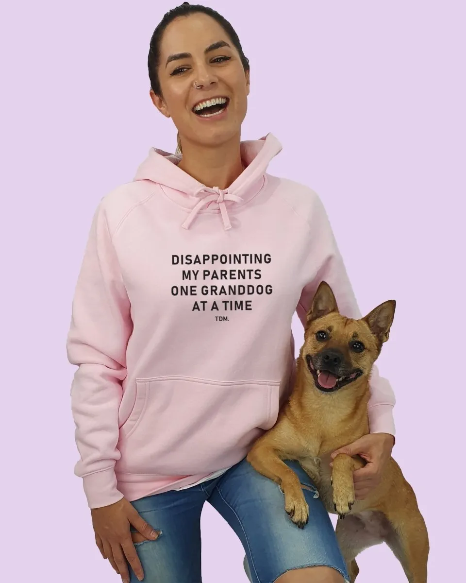 Disappointing My Parents Unisex Hoodie